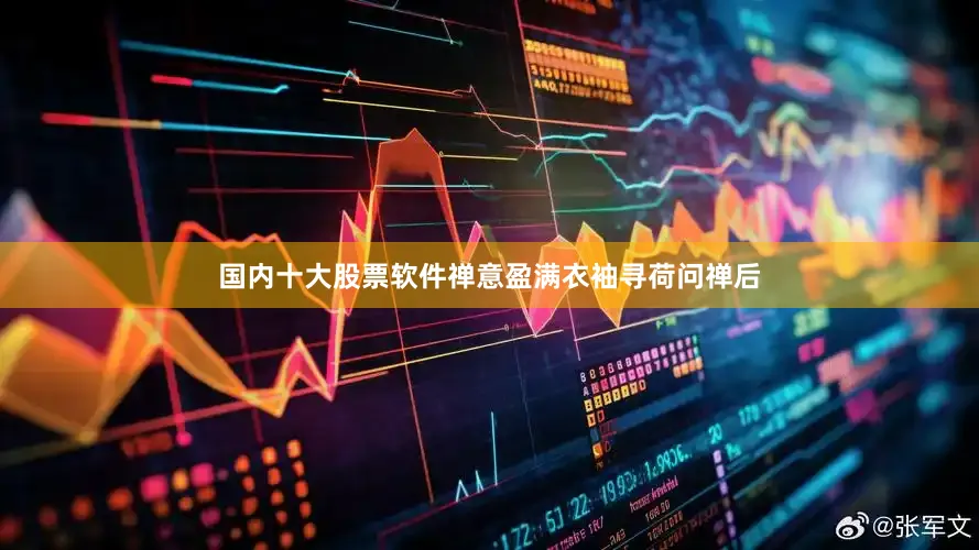 国内十大股票软件禅意盈满衣袖寻荷问禅后