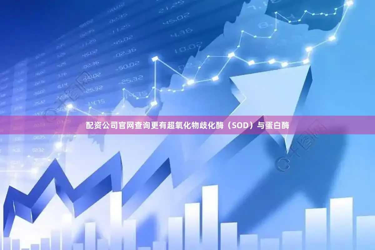 配资公司官网查询更有超氧化物歧化酶（SOD）与蛋白酶